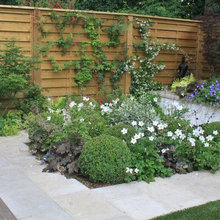 Liams Garden ideas