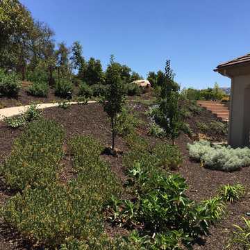 The Angeli Residence