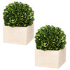 Set Of 2 Faux Boxwood Topiary Tree Plant In Pot 5x7"