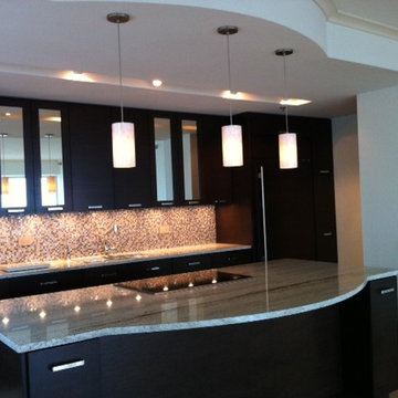 Freejack LED Playa Pendant by Tech Lighting