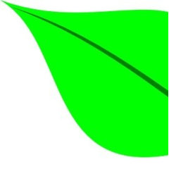 Green Leaf Construction