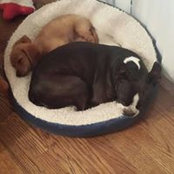 Ricky Clark's photo