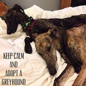 Sean Higgins's photo