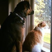 Amy Vorndran's photo