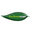 Eco-Greenscape