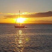 Jeanette McConnaughey's photo