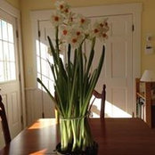 Karen Smallman's photo