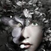 Federico Bebber's photo