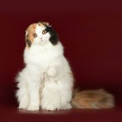 Еленаさんの写真