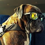 Foto von Fabrizio Boxer