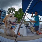 Kevin Seelig's photo