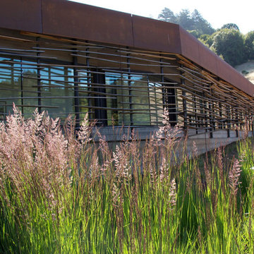 Nicasio Residence