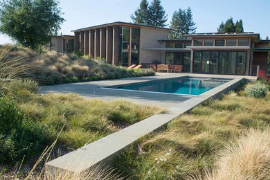 Inspiration for a backyard water fountain landscape in San Francisco.