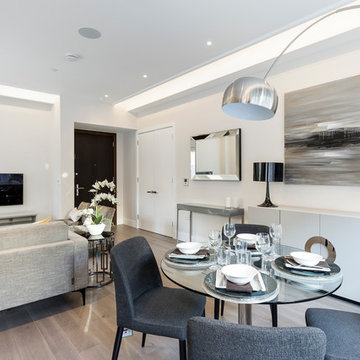 Minimalist, Contemporary Flat