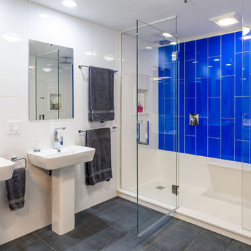 Lake Shore Drive Contemporary Gut Renovation