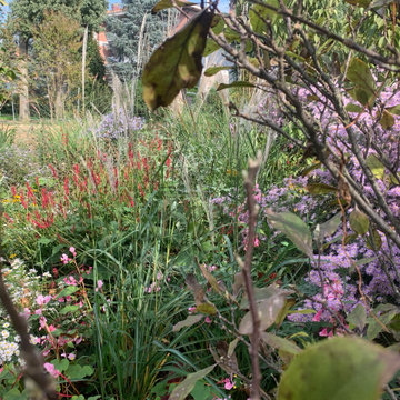 GIARDINO di design naturalistico