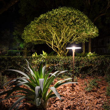 Fishhawk Trails - Vines Project (Campus Signature Package)