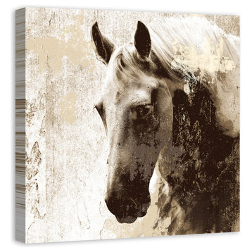 "Stallion Study in Sepia" Canvas Wall Art, 30x30