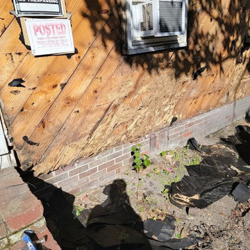 Termite Damage Is at it Again