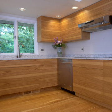 Mid Century Modern Custom Kitchen