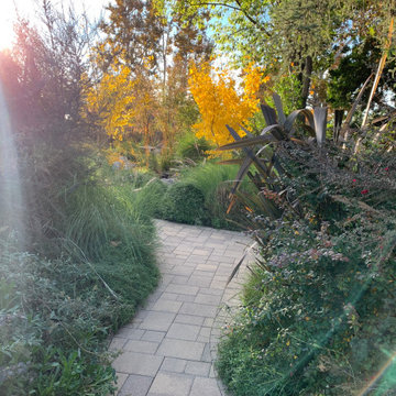 California Craftsman Forest - 5 Years Later