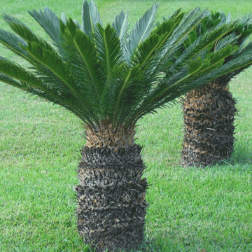 Landscape Gallery