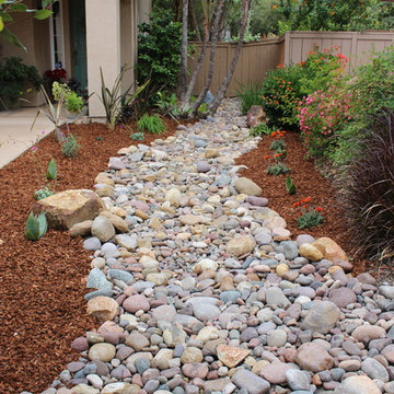 Dry River Bed