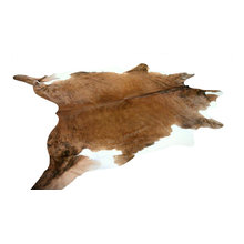 Area Rugs
