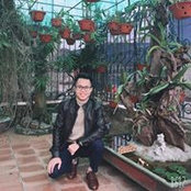 Foto von Phúc Đại