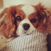 Annelies Ingrid's photo