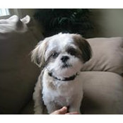 Christine Caputo's photo