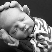 Tim Ferlazzo's photo