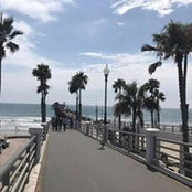 Joe Aleman's photo
