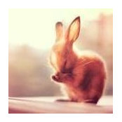 Clare Johnson's photo