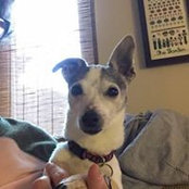 Kathy Mitchell's photo