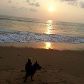 Remy Chew's photo