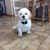 Credie Cooper's photo