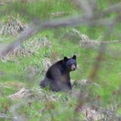 Bridget Clawson's photo