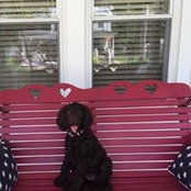 Debbie Gregory's photo