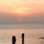 Carol Forst's photo