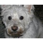 Cynthia Leaf's photo