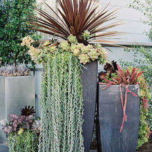 Tunquist Plant Containers