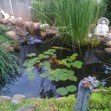 Ecosystem Ponds and Water Gardens By Continental Ponds