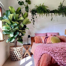 em's dream room