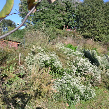 Lake Claire Community Land Trust Meadow
