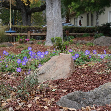 Los Gatos Residence