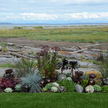 Contemporary Seaside Garden