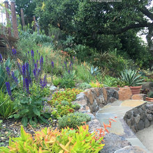 Hillside Landscaping