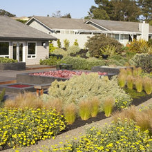 Exterior Ideas
