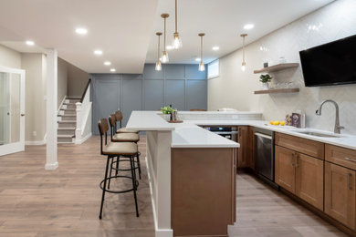 Basement - contemporary basement idea in Other
